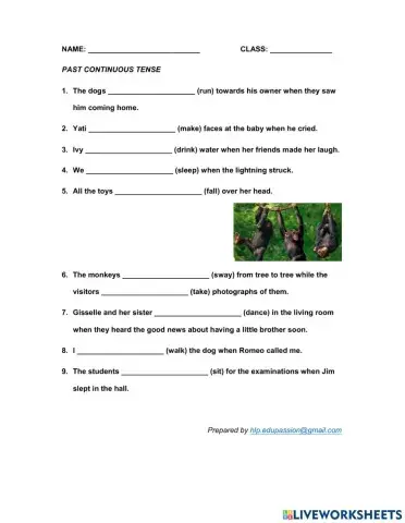 Past continuous tense