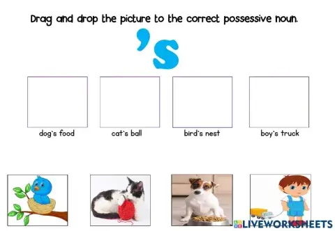 Possessive nouns