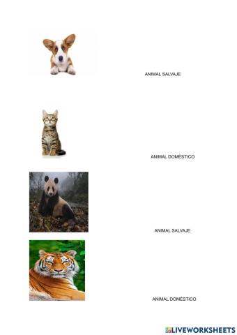 Animales salvajes o domesticos