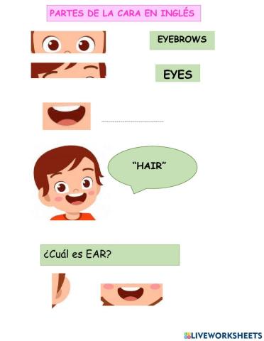Partes de la cara en Inglés