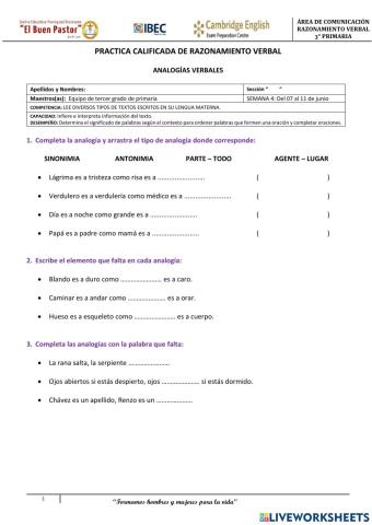 Práctica Calificada RV 4