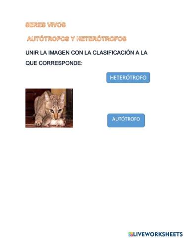 Autotrofos y heterotrofos
