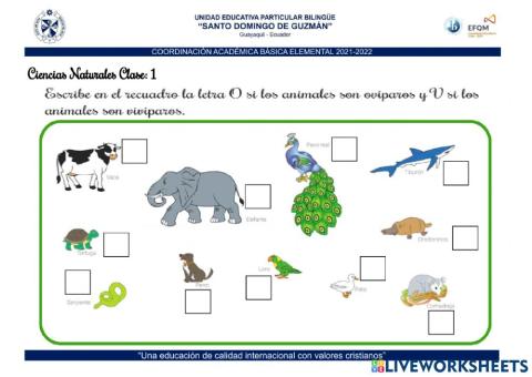 Clasificación de los animales
