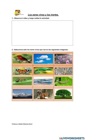 Seres vivos y inertes