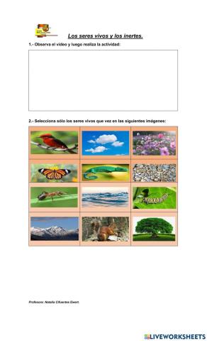 Seres vivos y inertes
