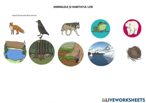 Animalele și habitatul lor