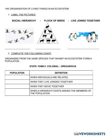 Interspecific relationships