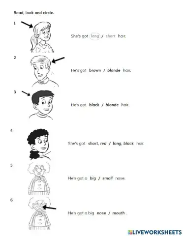 Grammar practice - Give me Five, Unit 3