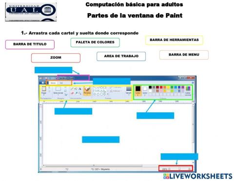 Partes de la ventana de Paint