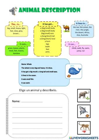 Describing animals 2