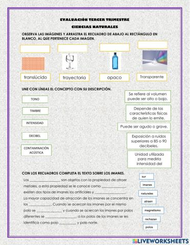 Evaluación ciencias naturales