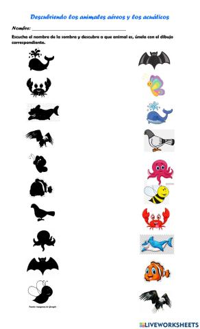 Descubriendo los animales aéreos y acuáticos