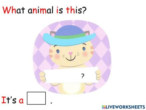 B1a Pat cat and tat rat 001