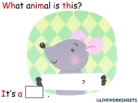 B1a Pat cat and tat rat 003