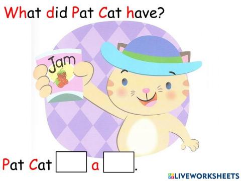 B1a Pat cat and tat rat 005