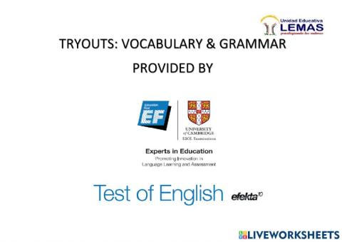 Older learner tryout - vocabulary & grammar