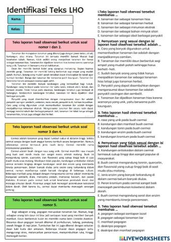 Identifikasi Teks LHO