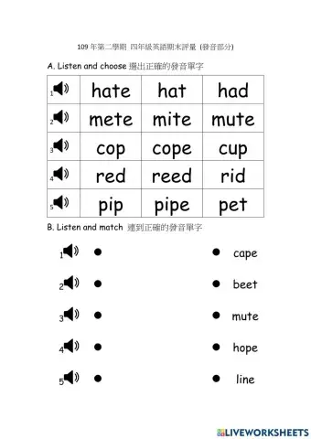 Phonics long vowels test