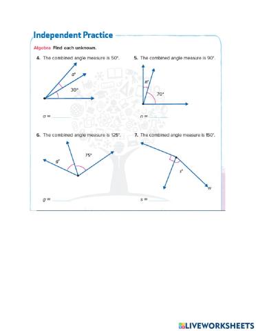 Solve Problems with Angles