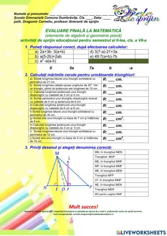 Evaluare finală semestrială, Matematică, cls VII, sem II