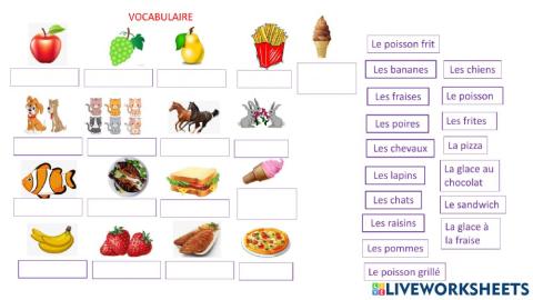 Vocabulaire 2