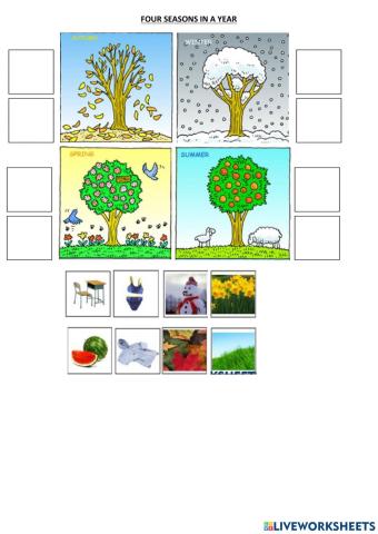 Four seasons