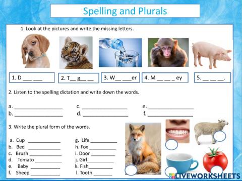 Spelling and Plurals