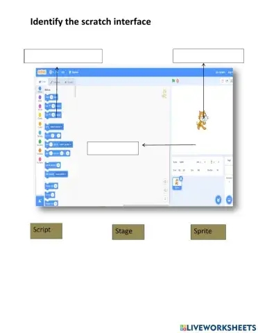 Visual coding- scratch