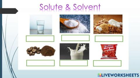 Solute & Solvent