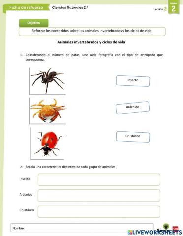 Animales invertebrados y ciclos de vida