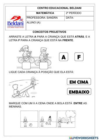 Conceitos projetivos