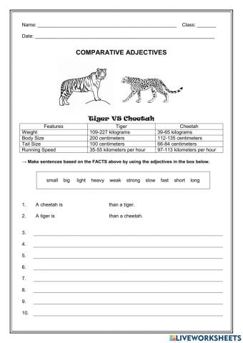 Comparative Adjectives - tiger vs cheetah