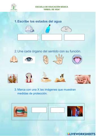Evaluación de CIencias