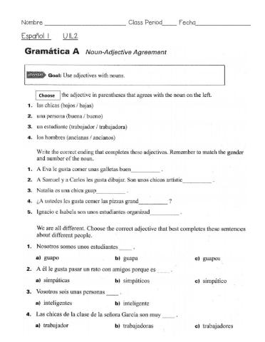 Concordancia del nombre - adjetivo