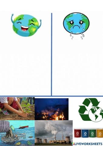 Cuidado del medio ambiente