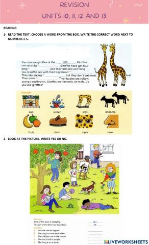 Revision units 10,11,12 & 13