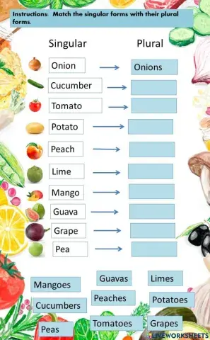 Singular and Plural exercise