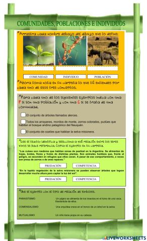 Comunidad, población e individuos