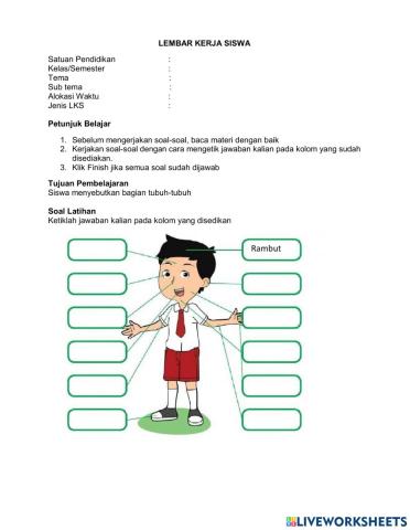 LKS Bagian -bagian tubuh