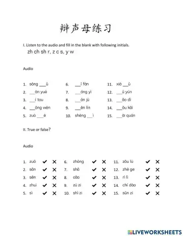 Chinese Pinyin Initial Practice