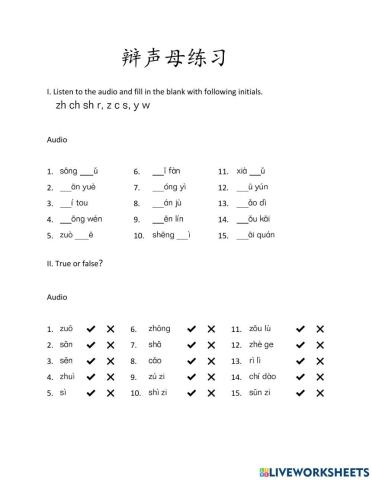 Chinese Pinyin Initial Practice