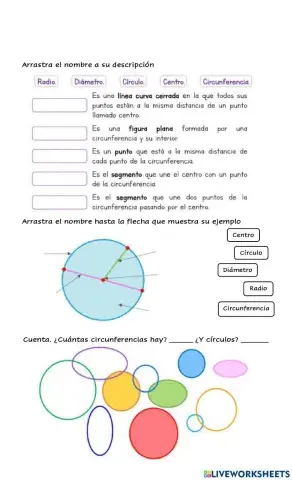 Circulo y circunferencia