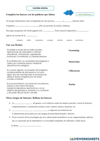 Cultura digital. Riesgos de internet