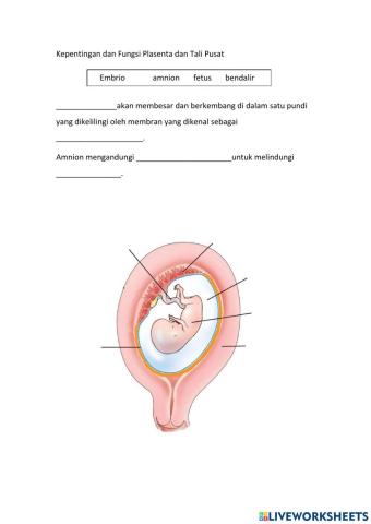 Bab 4 Pembiakan manusia