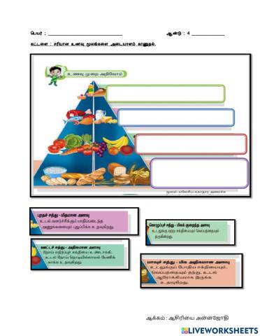 உணவு கூம்பு