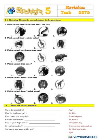 Spotlight 5 Task 5576