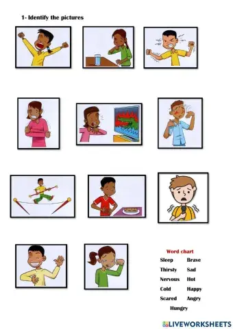 Feelings and Emotions