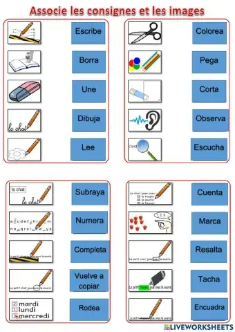 Las consignas o instrucciones en español