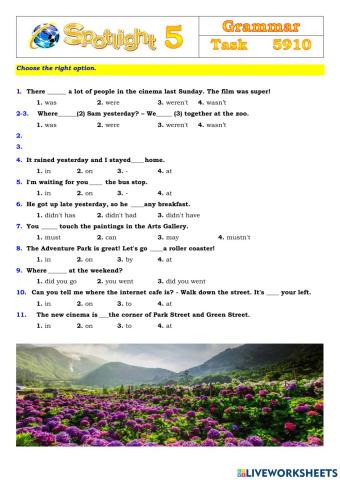 Spotlight 5 Task 5910