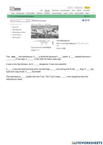 Describing dinosaurs